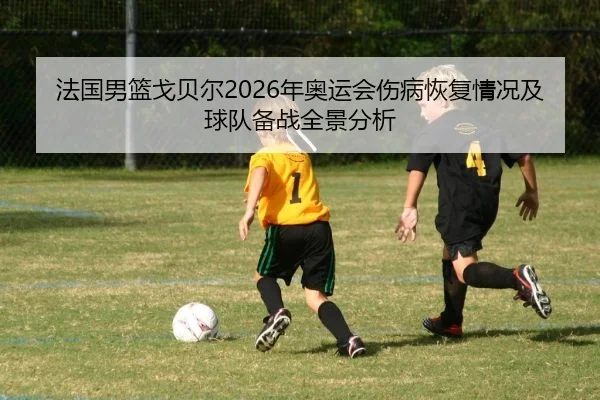 法国男篮戈贝尔2026年奥运会伤病恢复情况及球队备战全景分析