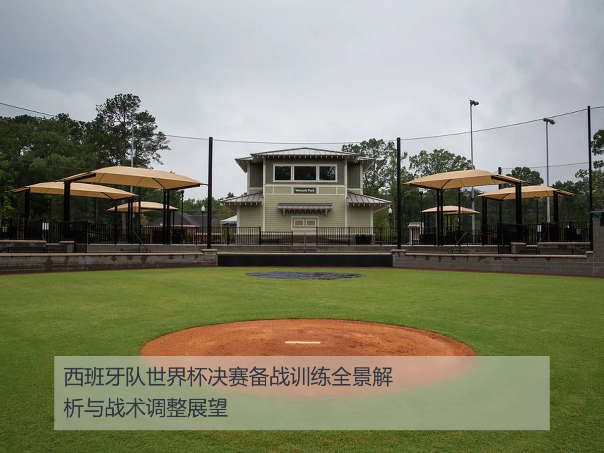 西班牙队世界杯决赛备战训练全景解析与战术调整展望